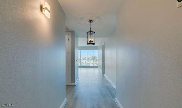 4575 Dean Martin Dr Unit 406, Las Vegas, NV 89103 - corridor with wood finished floors and a textured wall