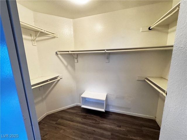 5513 Oakwood Ridge St, Las Vegas, NV 89130 - walk in closet featuring wood finished floors