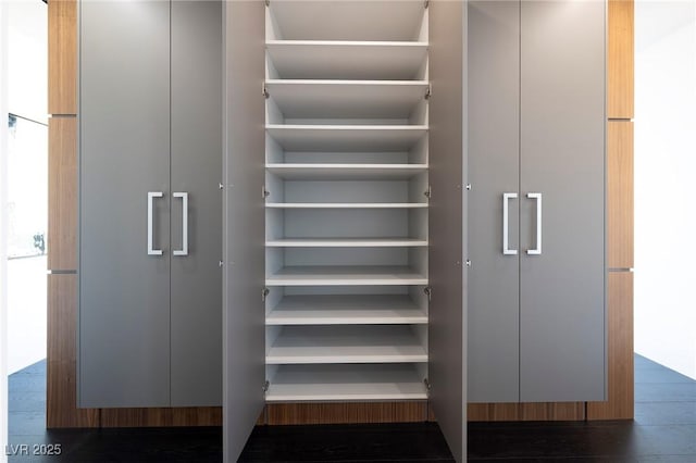 10891 Stardust Dr, Las Vegas, NV 89135 - view of closet