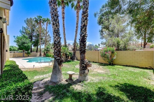 8113 Gothic Ave, Las Vegas, NV 89117 - view of fenced backyard