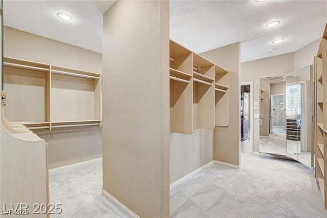 8113 Gothic Ave, Las Vegas, NV 89117 - walk in closet featuring carpet floors
