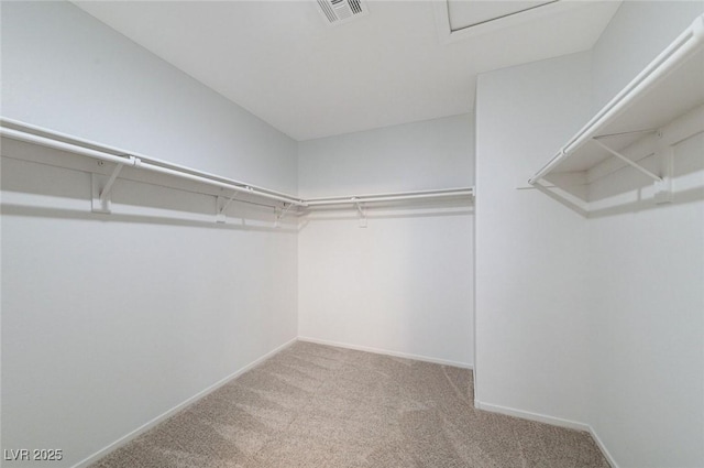 7534 Earnshaw Ave, Las Vegas, NV 89179 - spacious closet featuring carpet floors and attic access