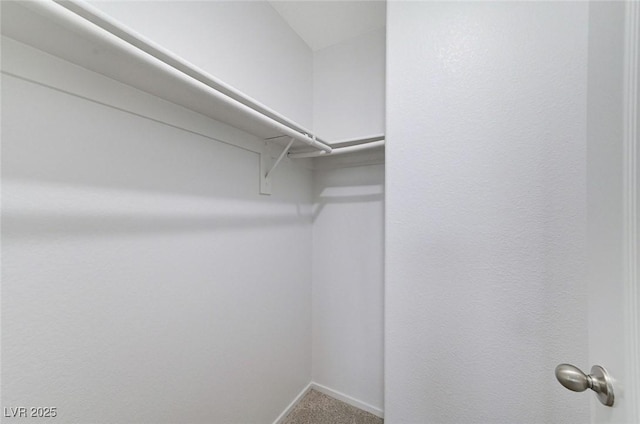 7534 Earnshaw Ave, Las Vegas, NV 89179 - spacious closet with carpet flooring