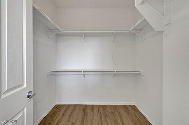 1213 Bistro Bay Ave, North Las Vegas, NV 89086 - spacious closet featuring wood finished floors