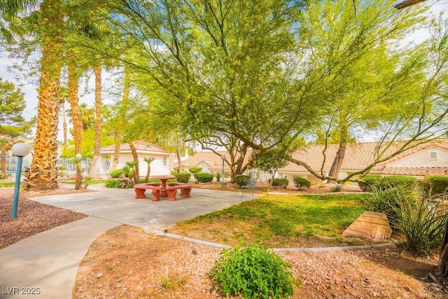 2251 Vangogh Dr, Henderson, NV 89074 - view of yard