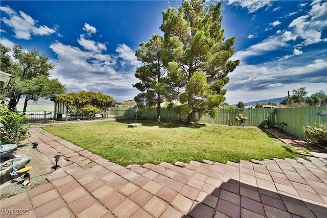 2910 Sunset St, Pahrump, NV 89060 - fenced backyard featuring a patio