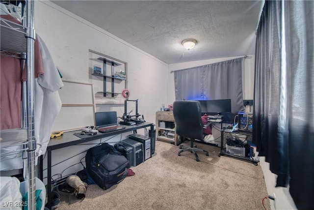 2910 Sunset St, Pahrump, NV 89060 - carpeted office space featuring a textured ceiling