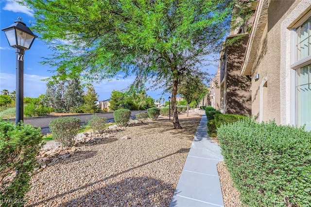 2792 Fountain Ridge Ln, Henderson, NV 89074 - view of yard