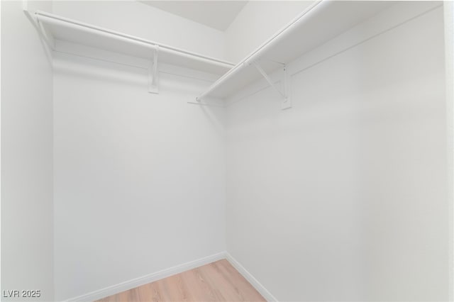 3844 Kit Fox St, Las Vegas, NV 89122 - walk in closet featuring light wood-type flooring