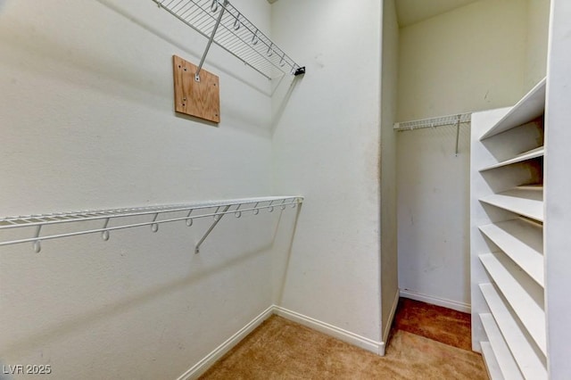 6720 Sand Swallow St, North Las Vegas, NV 89084 - spacious closet with carpet