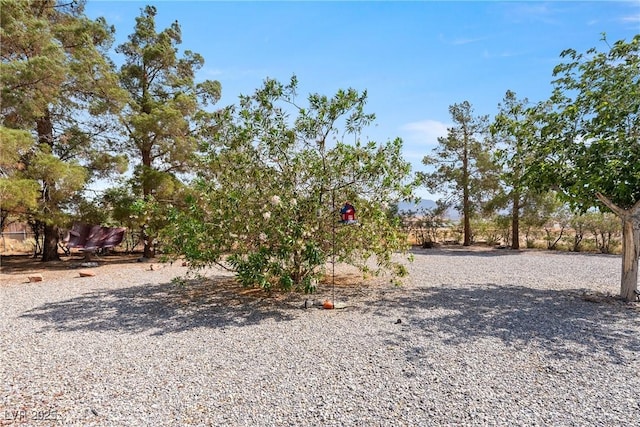 200 E Domingo St, Pahrump, NV 89048 - view of yard