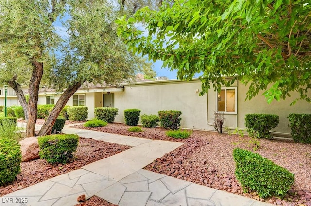3022 El Camino Ave, Las Vegas, NV 89102 - view of front of home featuring stucco siding