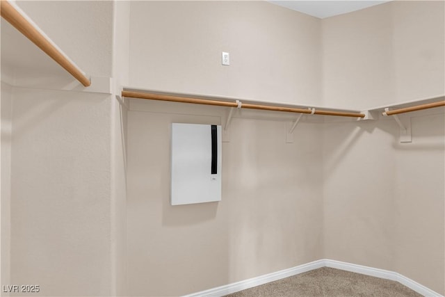 9489 Country Highlands Ct, Las Vegas, NV 89178 - walk in closet featuring carpet floors