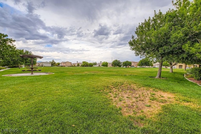 6349 Blushing Willow St, North Las Vegas, NV 89081 - view of grassy yard