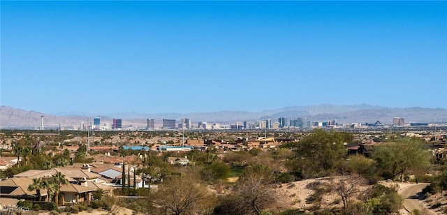 64 Promontory Ridge Dr, Las Vegas, NV 89135 - photo 26