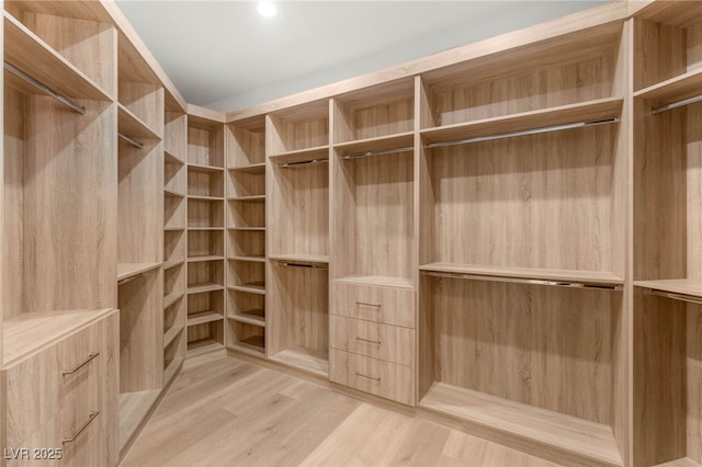 8617 Titleist Cir, Las Vegas, NV 89117 - walk in closet with light wood finished floors