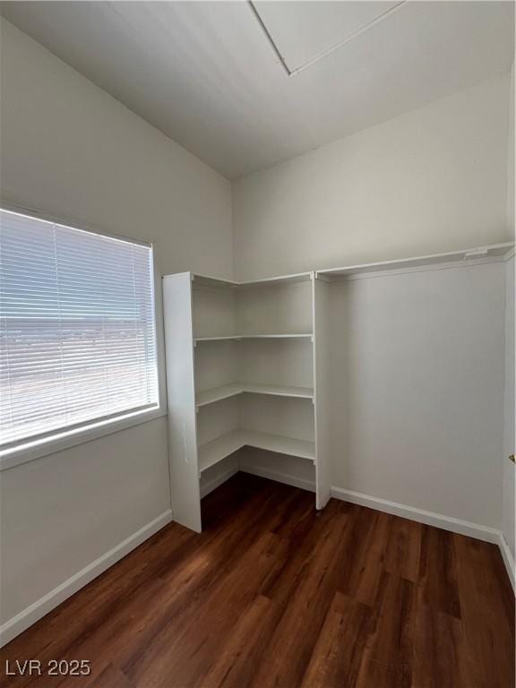 2170 W Gally Rd, Pahrump, NV 89060 - spacious closet featuring dark wood-style flooring