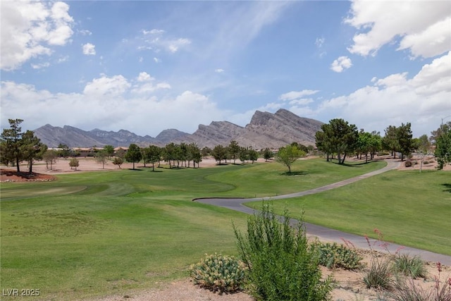 10812 Black Ledge Ave, Las Vegas, NV 89134 - photo 42