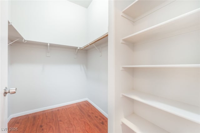1635 Otto Merida Ave, Las Vegas, NV 89106 - walk in closet with wood finished floors