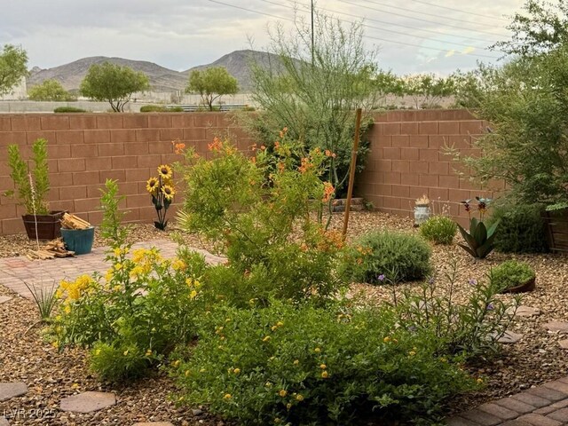 2936 Aragon Terrace Way, Henderson, NV 89044 - photo 23