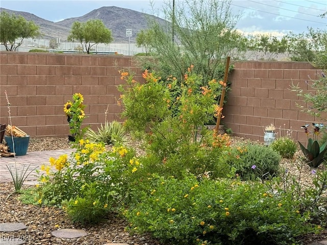 2936 Aragon Terrace Way, Henderson, NV 89044 - photo 19
