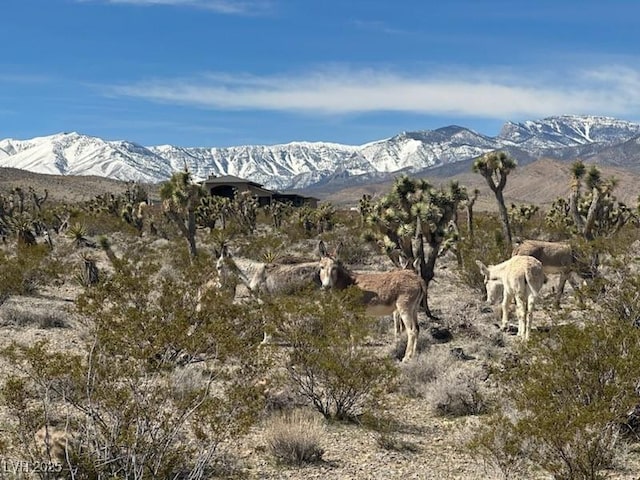 7790 Scottie St, Las Vegas, NV 89166 - view of mountain background