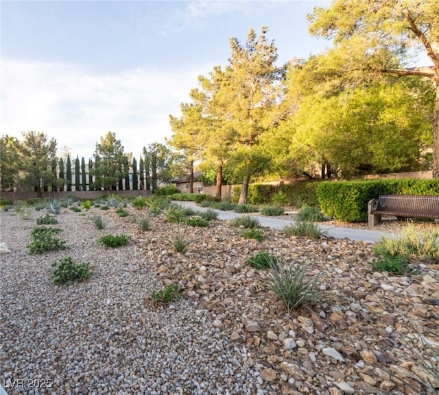 5210 Villa Dante Ave, Las Vegas, NV 89141 - photo 31