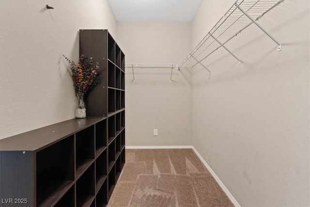 9305 Briar Bridge Ave, Las Vegas, NV 89148 - walk in closet featuring carpet