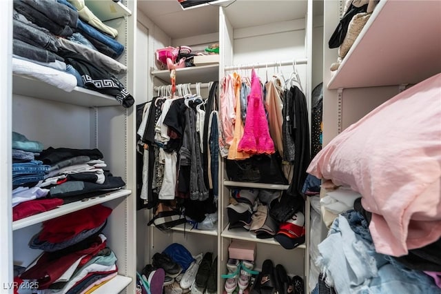 2690 Diamante Cir, Las Vegas, NV 89121 - view of spacious closet