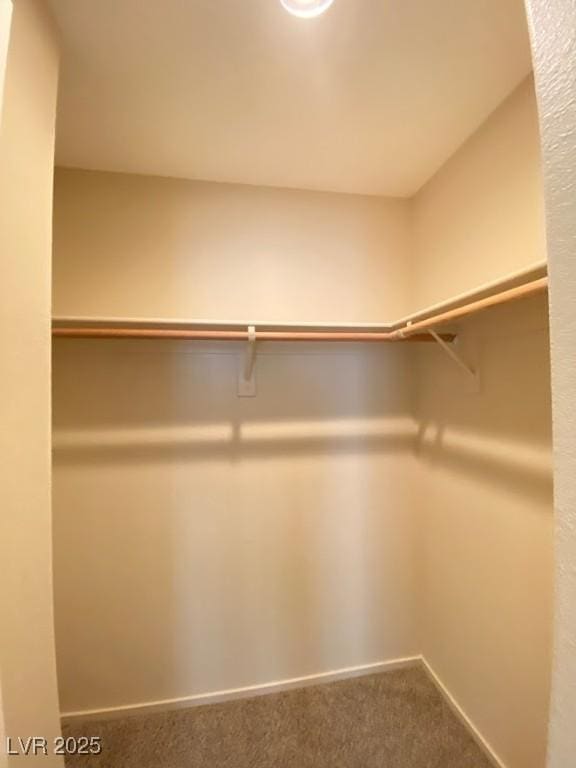 5266 Souvenir Ln, Las Vegas, NV 89118 - spacious closet with carpet floors