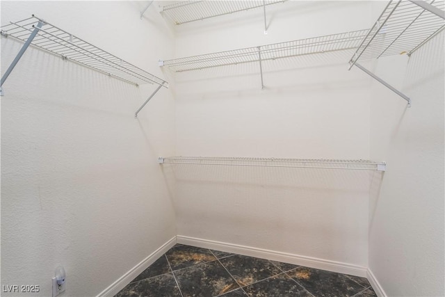8424 Willowleaf Ct, Las Vegas, NV 89128 - view of walk in closet
