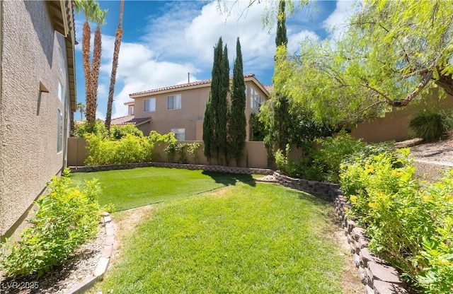 8424 Willowleaf Ct, Las Vegas, NV 89128 - view of yard