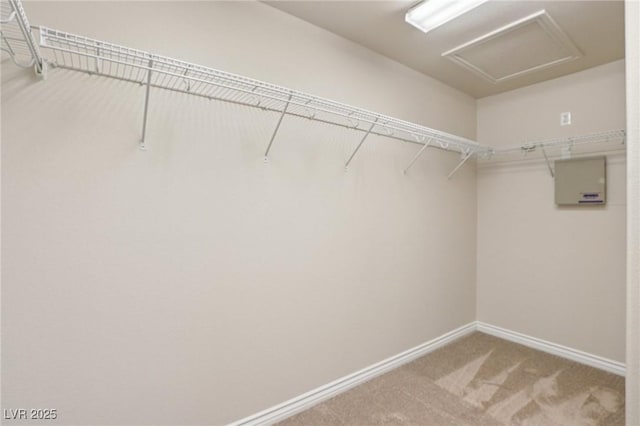 5541 Meridian Rain St, North Las Vegas, NV 89031 - walk in closet with carpet floors and attic access