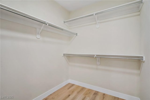 6125 Resort Ridge St, Las Vegas, NV 89130 - walk in closet featuring light wood finished floors