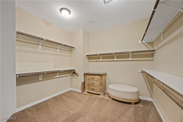 1084 Via Della Costrella, Henderson, NV 89011 - walk in closet featuring carpet