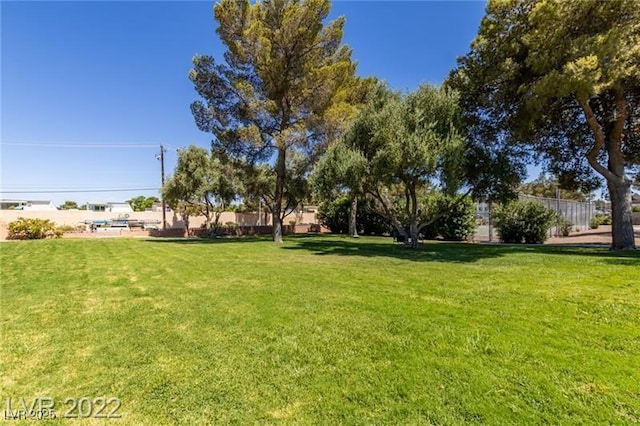 3393 Narod St, Las Vegas, NV 89121 - view of grassy yard
