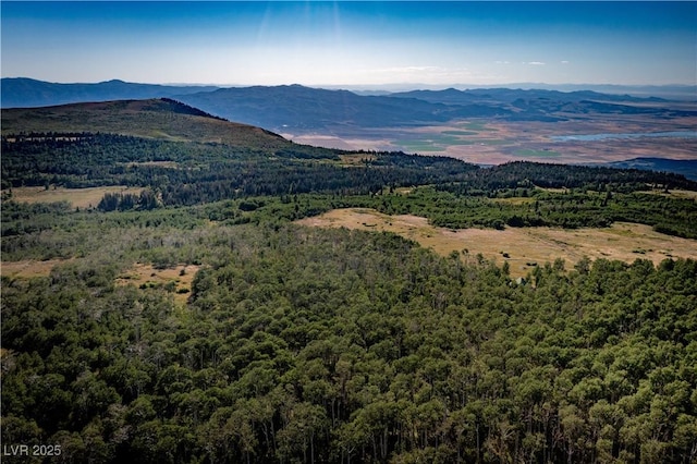 1458 W 6400 S, Cedar City, UT 84720 - mountain view featuring a heavily wooded area