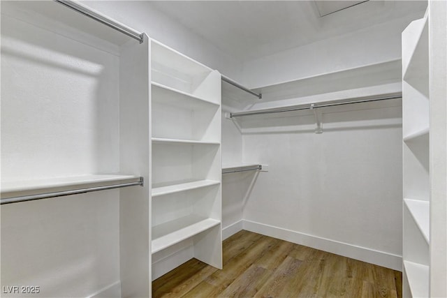 7629 Oyster Cove Dr, Las Vegas, NV 89128 - walk in closet featuring wood finished floors