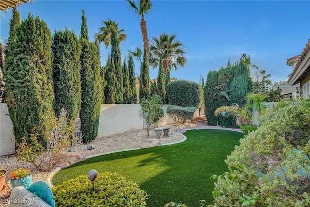 9553 Gainey Ranch Ave, Las Vegas, NV 89147 - view of yard