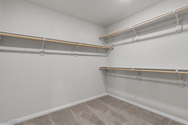 487 Via Renata, Henderson, NV 89044 - walk in closet with carpet