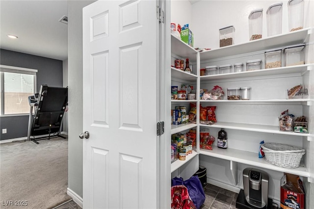 7615 Quail Dust St, North Las Vegas, NV 89084 - view of storage area