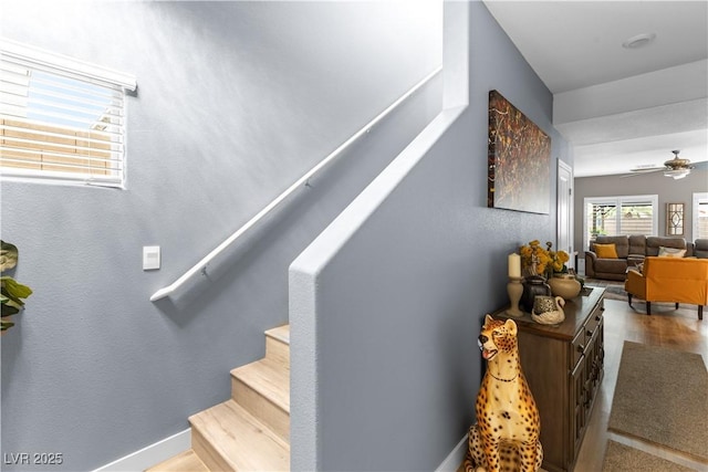 1981 Komodo Dragon Ct, North Las Vegas, NV 89032 - staircase featuring ceiling fan and wood finished floors