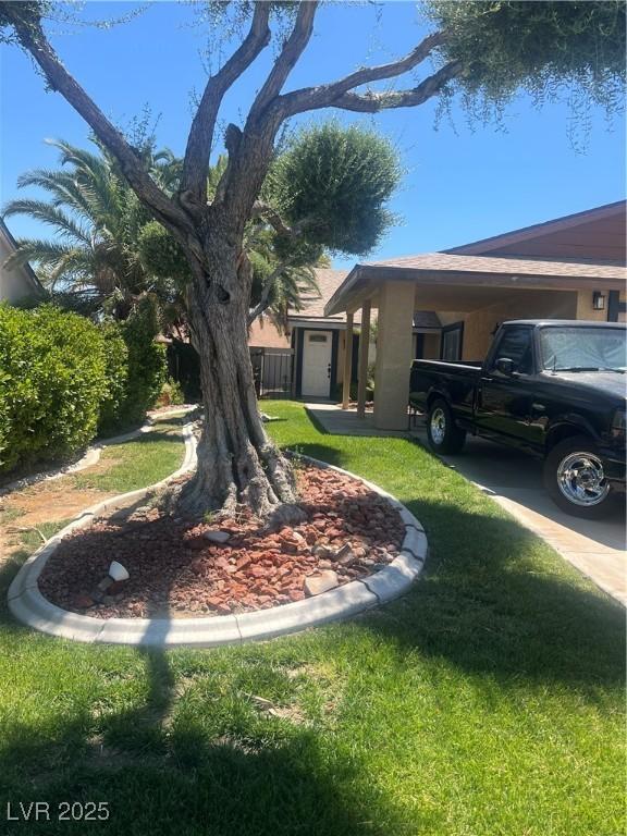 7247 Manatee Ct, Las Vegas, NV 89147 - view of green lawn with an attached carport