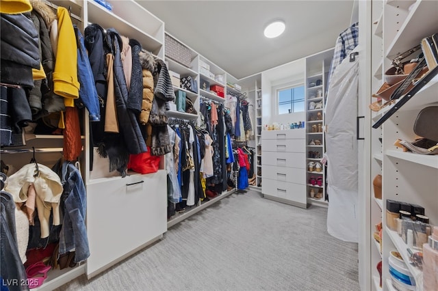 367 Pollino Peaks St, Las Vegas, NV 89138 - spacious closet featuring carpet