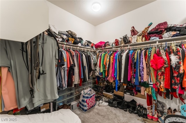 6209 Gambetta St, Las Vegas, NV 89115 - spacious closet with carpet