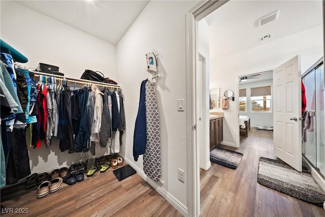 3603 E Umatilla Ave, Pahrump, NV 89061 - walk in closet featuring light wood finished floors and vaulted ceiling
