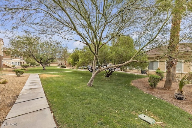 833 Aspen Peak Loop Unit 613, Henderson, NV 89011 - view of grassy yard