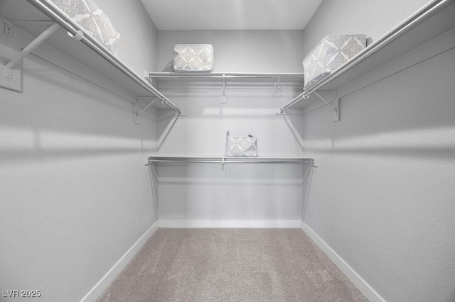 635 Pyrite Will St, Las Vegas, NV 89138 - spacious closet with carpet floors