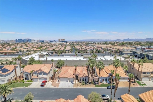 5638 Wild Olive St, Las Vegas, NV 89118 - photo 42