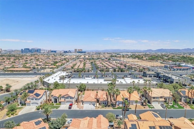 5638 Wild Olive St, Las Vegas, NV 89118 - photo 43